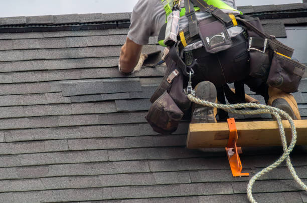 Best Roof Gutter Cleaning  in Mcadenville, NC