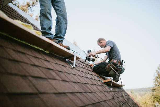 Professional Roofing Contractor in Mcadenville, NC